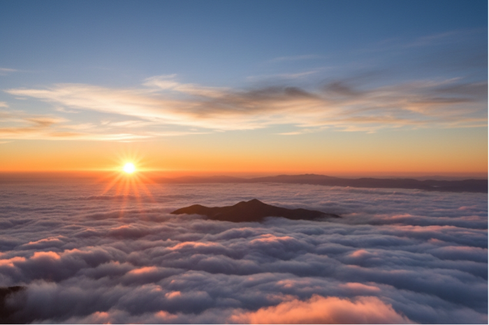 2026年、冬。努力の蕾が花開くその時まで。